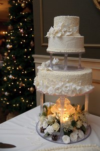 Flowers and Fountain